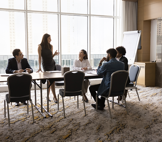 Experienced Professionals