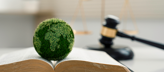 No Consideration Of Sustainability Adverse Impacts Statement